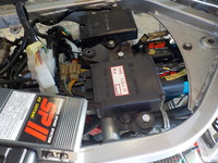 DSCN5275