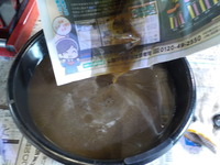 DSCN9813