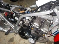 DSCN5118