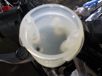 DSCN5446