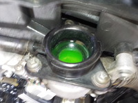 DSCN5239