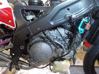 DSCN3140