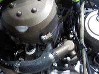 DSCN4766