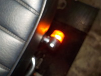 DSCN5542