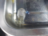 DSCN0251