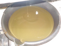 DSCN1631