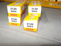 DSCN9267