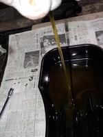 DSCN5583