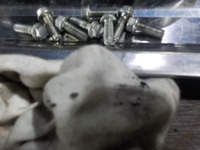 DSCN4509