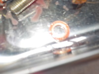 DSCN7354