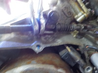 DSCN0338