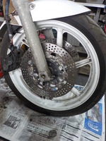 DSCN7895