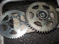 DSCN7125