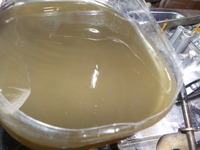 DSCN8011