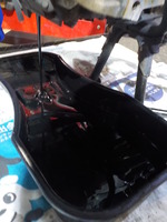 DSCN6878