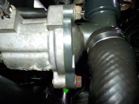 DSCN5295
