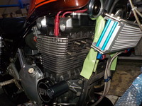 DSCN6241