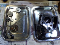 DSCN6408