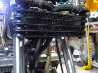 DSCN7526