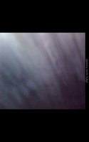 Screenshot_2021-04-07-16-10-44