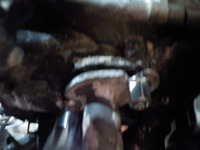 DSCN7347