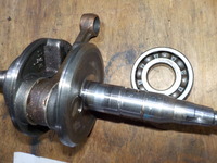DSCN5184