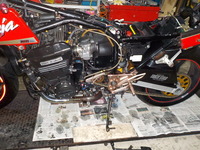 DSCN0542