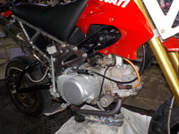 DSCN5198