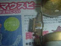 P1100498