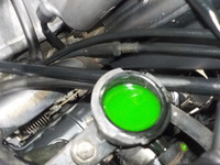 DSCN6496