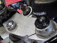 DSCN8771