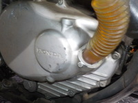 DSCN8626