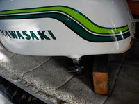 DSCN4452