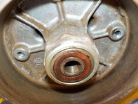 DSCN5719