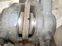 DSCN6381
