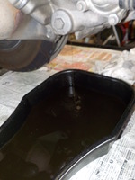 DSCN8822