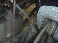 P1240114