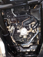 DSCN0956