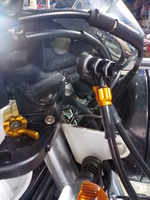 DSCN7520
