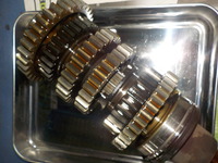 DSCN8954
