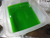 DSCN2668