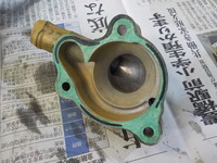 DSCN2844