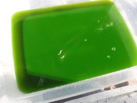 DSCN2406