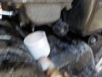 DSCN6870