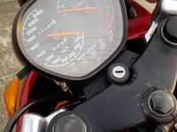 DSCN6353