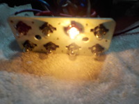 DSCN2329