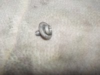 DSCN8617