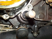 DSCN4279