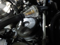 DSCN6755