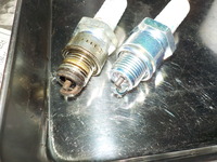 DSCN1898
